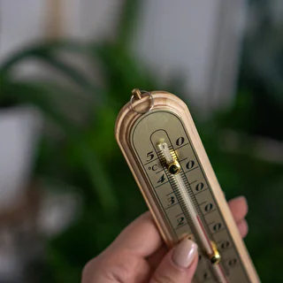 Rumstermometer med guldskala (-10°C till +50°C) 16cm – photo 4