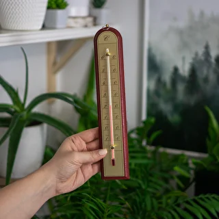 Rumstermometer med guldskala (-10°C till +60°C) 28cm mix – photo 6