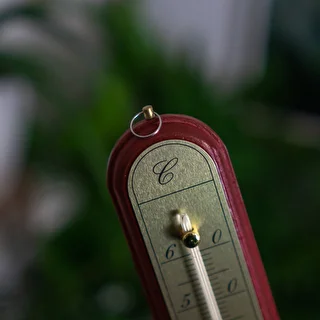 Rumstermometer med guldskala (-10°C till +60°C) 28cm mix – photo 7