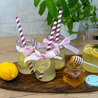 Burk TO 300 ml fi 66 - förpackning 12 st. – photo 8