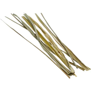 Bison grass - Doftande turowka 12 st / 4 L – photo 4