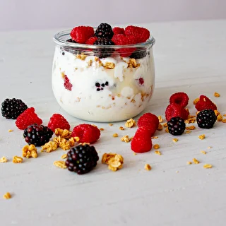 Yoghurtkulturer – bakteriekulturer för yoghurt – photo 4