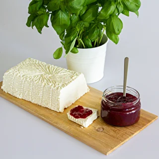 Bakteriekulturer för grekisk ost – photo 3