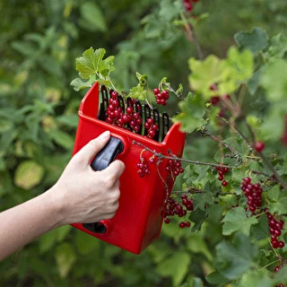 Maskin för att plocka små frukter – photo 8