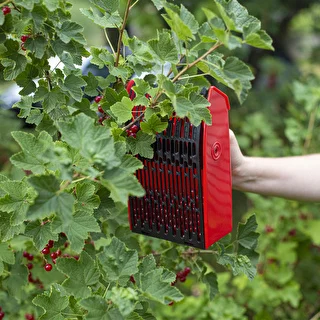 Maskin för att plocka små frukter – photo 7