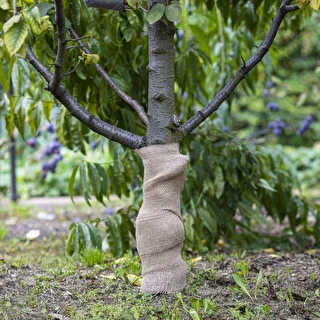 Juteband 10 cm/5 m – photo 5