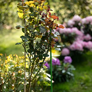 Stålstång belagd med PE 1,5 m x 11 mm – photo 4