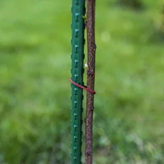 Trädgårdsstöd Bioogród – belagda stål, 1,5 m, fi 11 mm, 10 st. – photo 5
