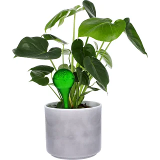 Bevattningskulor för växter, gröna transparenta, 400 ml, 4 st. – photo 6