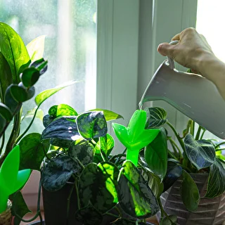 Växtbevattnare – grönt blad med keramisk fot, 120 ml – photo 8