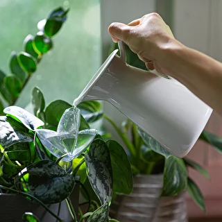 Växtbevattnare – genomskinligt blad med keramisk fot, 120 ml – photo 8