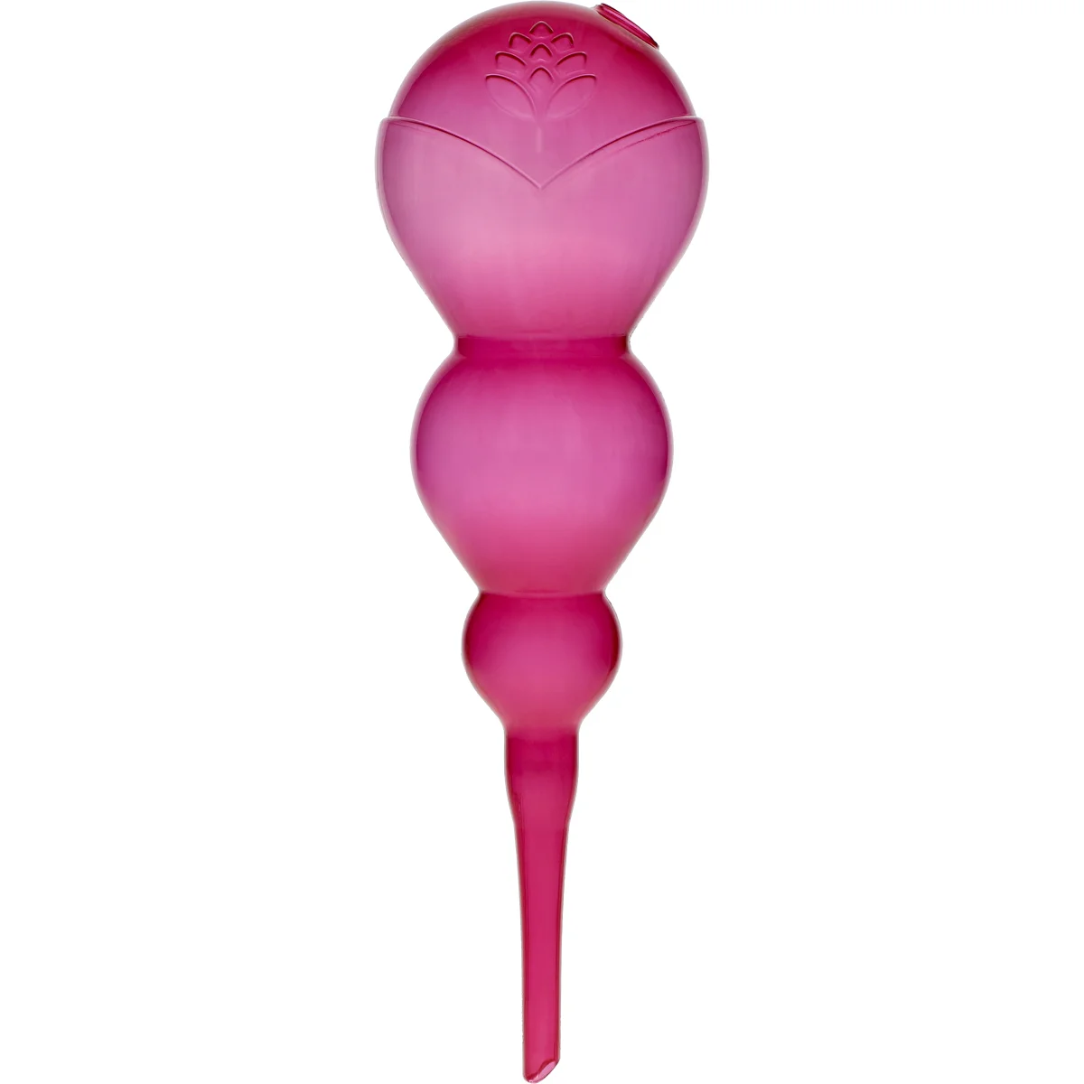 Tredubbel bevattningskula (trekammare), transparent rosa, 600 ml