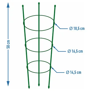 Ringstöd för växter 3 ringar 0,5m – photo 2
