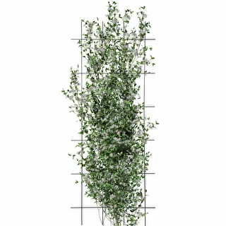 Växtstöd – trädgårdsgaller 150 x 60cm – photo 3