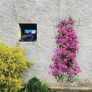 Växtstöd - galler (150cm x 75cm) 2 stycken – photo 4