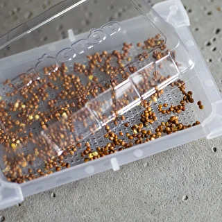 Groddtråg Grön Tofs med rädisfrön – photo 7