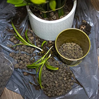 Keramzit för krukväxter, trädgårdsskötsel och skogar i glas, 4-10 mm, 2L – photo 8