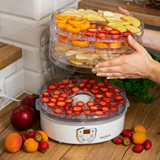 Svamptork, frukt, grönsaker och örter med temperaturreglering, 240W, transparent – photo 15