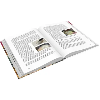 Bok "Skinkkokare – mästare på kulinariska möjligheter, recept" (bok på polska)" – photo 3