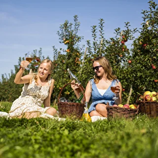 Ciderkit 20 L – photo 16