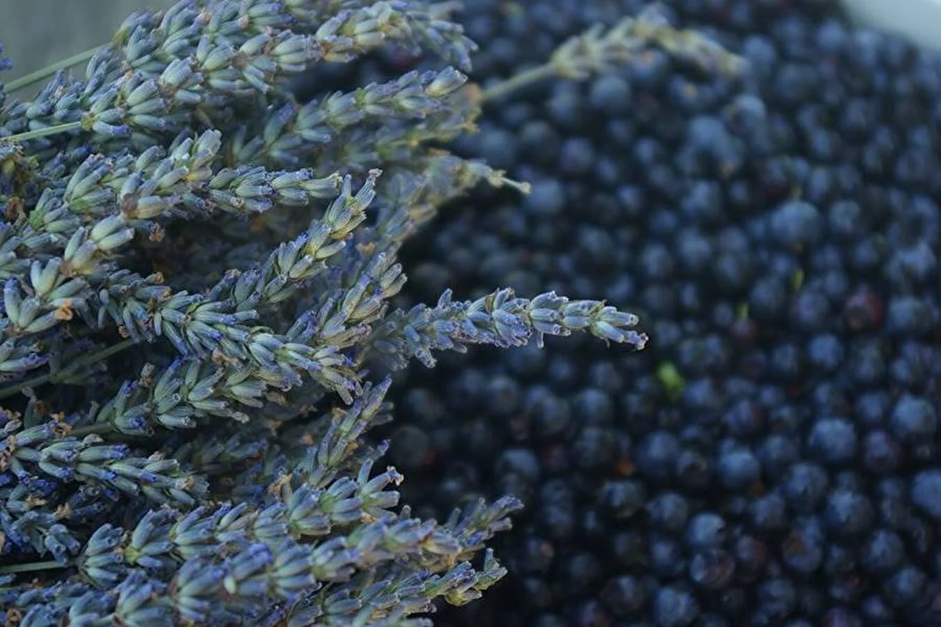 Hemmagjort lavendel- och blåbärsvin