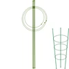 Ringstöd för växter 3 ringar 0,7m - 13 