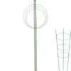 Ringstöd för växter 3 ringar 1,2m - 11 