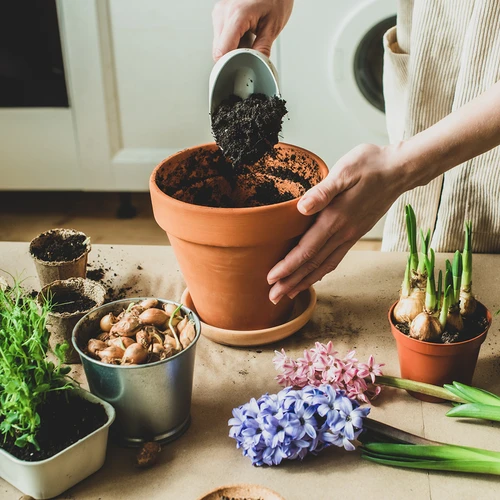 Aktivt kol av kokosnöt för växter 0,9 L - 7