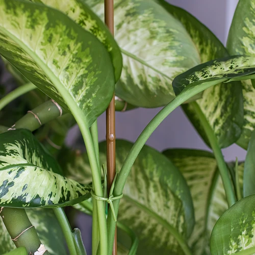 Belagt stålstöd i bambuform, 180 cm x 11mm - 4