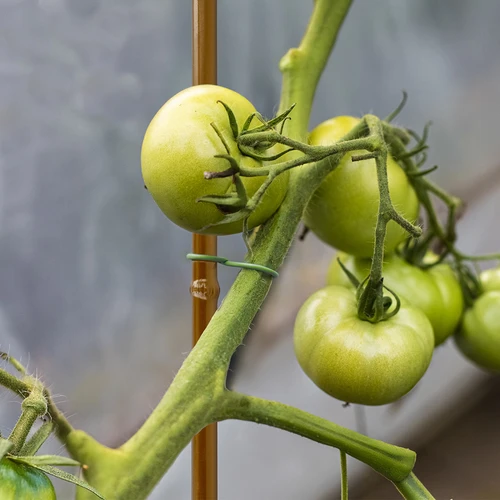 Belagt stålstöd i bambuform, 180 cm x 11mm - 5