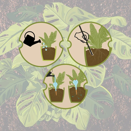 Bevattningskula för växter, svart matt med keramisk fot (i förpackning) 400 ml - 6