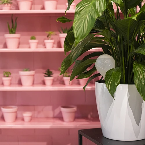 Bevattningskula för växter, vit matt med keramisk fot, 400ml - 10