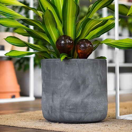 Bevattningskulor för växter, bärnstensfärgade genomskinliga, 400 ml, 2 st. - 13