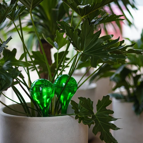 Bevattningskulor för växter, gröna transparenta, 400 ml, 2 st. - 13