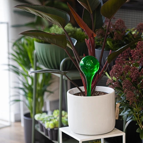 Bevattningskulor för växter, gröna transparenta, 400 ml, 4 st. - 9