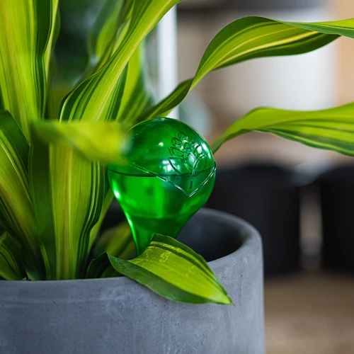 Bevattningskulor för växter, gröna transparenta, 400 ml, 4 st. - 10