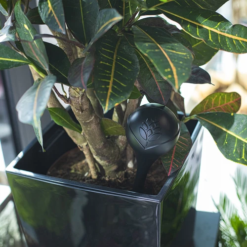 Bevattningskulor för växter, svarta matta, 400 ml, 2 st. - 10