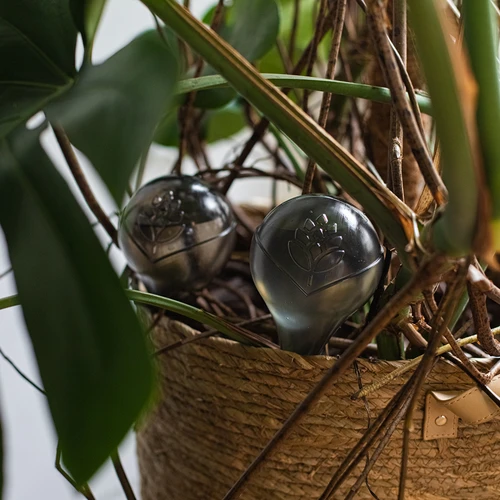 Bevattningskulor för växter, svarta transparenta, 400 ml, 2 st. - 14