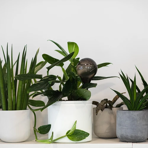 Bevattningskulor för växter, svarta transparenta, 400 ml, 4 st. - 10