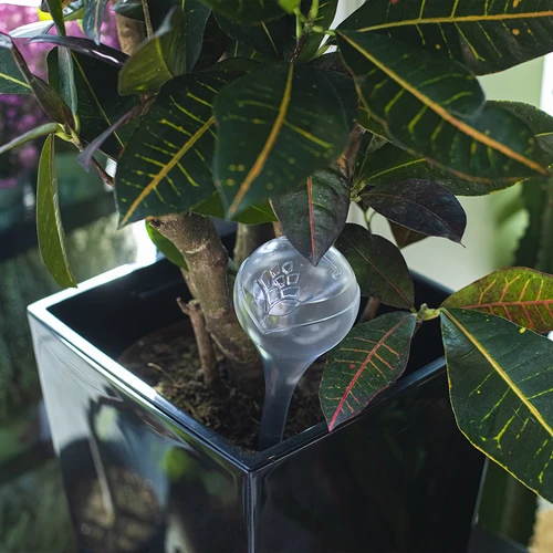 Bevattningskulor för växter, transparenta, 400 ml, 2 st. - 10