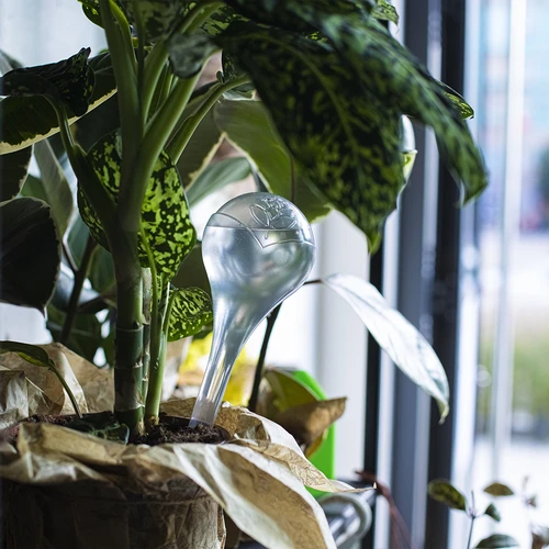 Bevattningskulor för växter, transparenta, 400 ml, 2 st. - 12