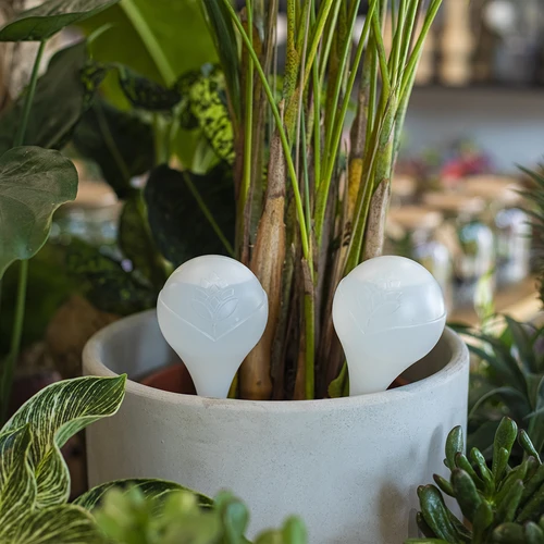 Bevattningskulor för växter, vita halvgenomskinliga, 400 ml, 4 st. - 8