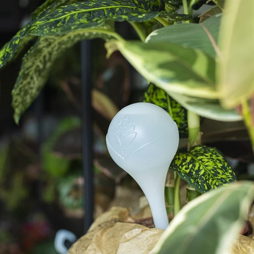 Bevattningskulor för växter, vita halvgenomskinliga, 400 ml, 4 st. - 10