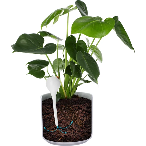 Bevattningskulor för växter, vita halvgenomskinliga med kork, 400 ml, 4 st. - 6