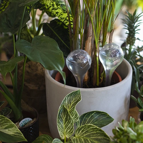 Bevattningskulor, transparenta, 400 ml, 4 st. - 8