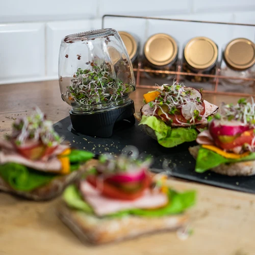 Burkgroddare Twist-off + 5 fröförpackningar - 11