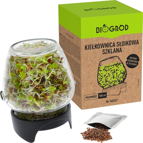 Burkgroddare Twist-off med rädisfrön - 5