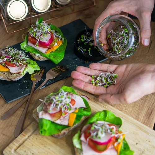 Burkgroddare Twist-off med rädisfrön - 12