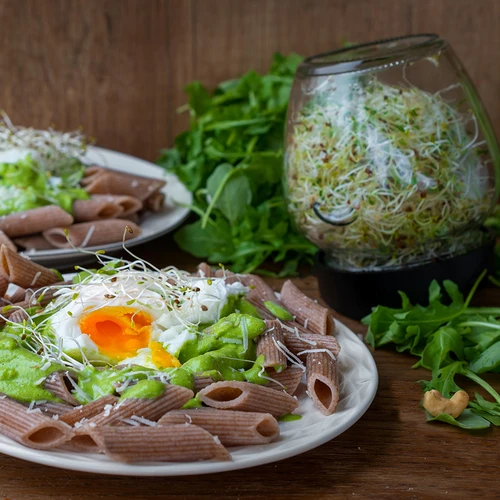 Burkgroddare Twist-off med rädisfrön - 15