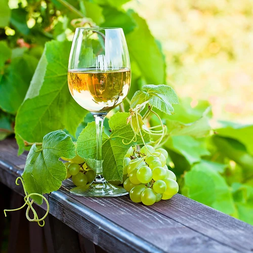 Enovini® OK WHITE - vinjäst som sänker syrahalten 7 g - 10